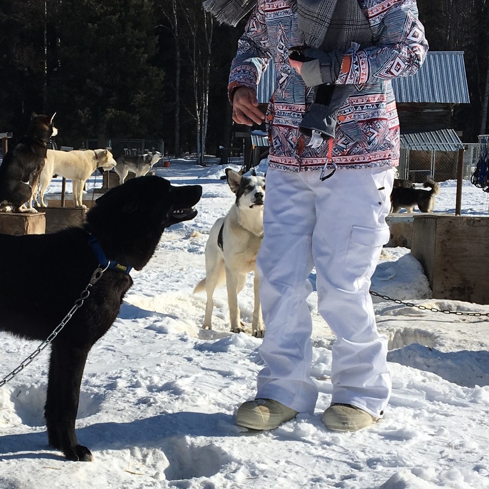 AFRC Snowpants ☃️